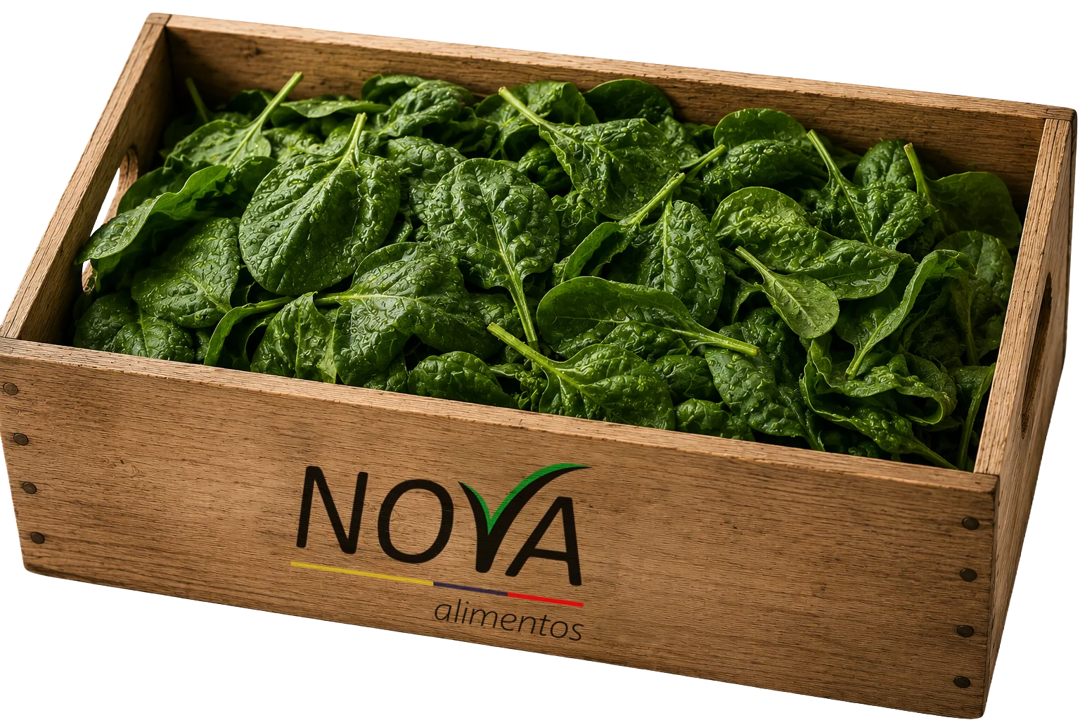 Espinaca