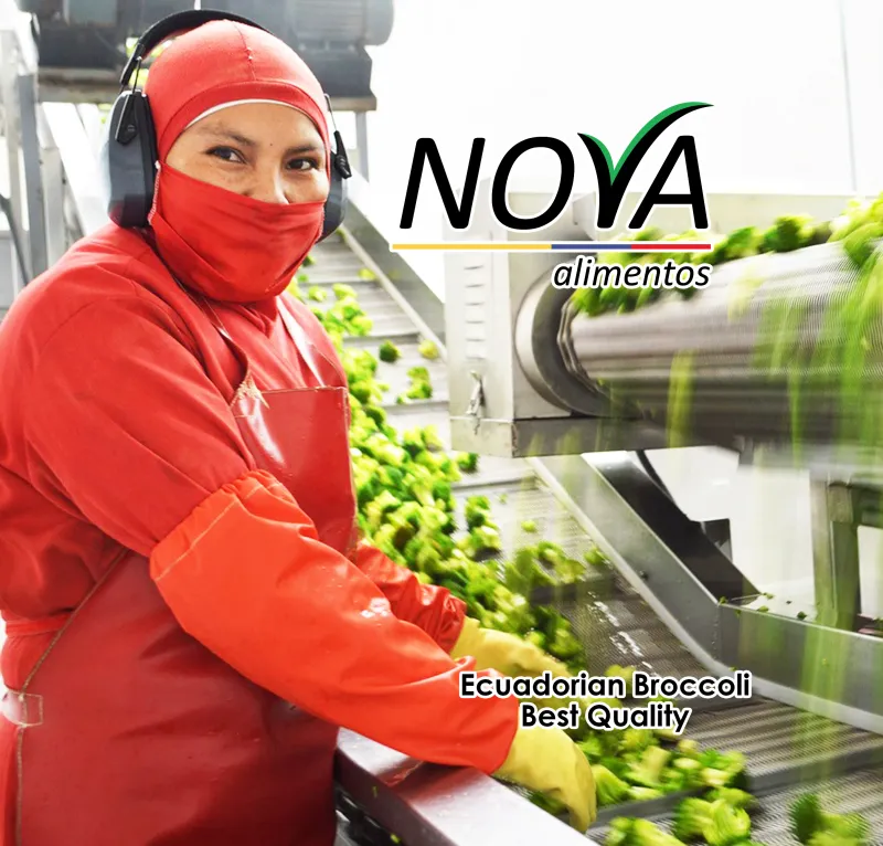 Nova Alimentos - Instalaciones