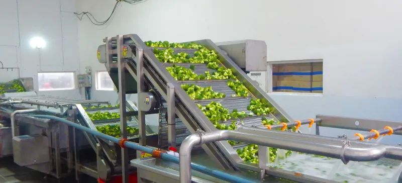 Nova Alimentos - Campo