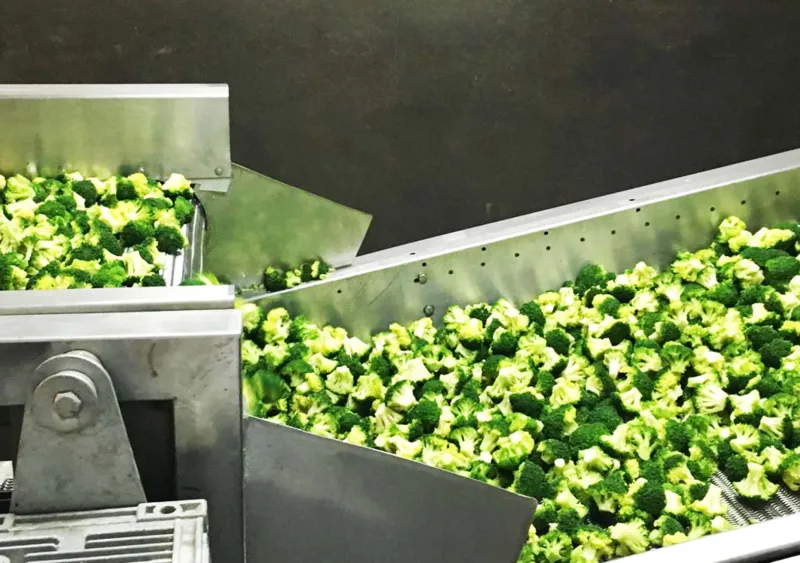 Nova Alimentos - Exportación