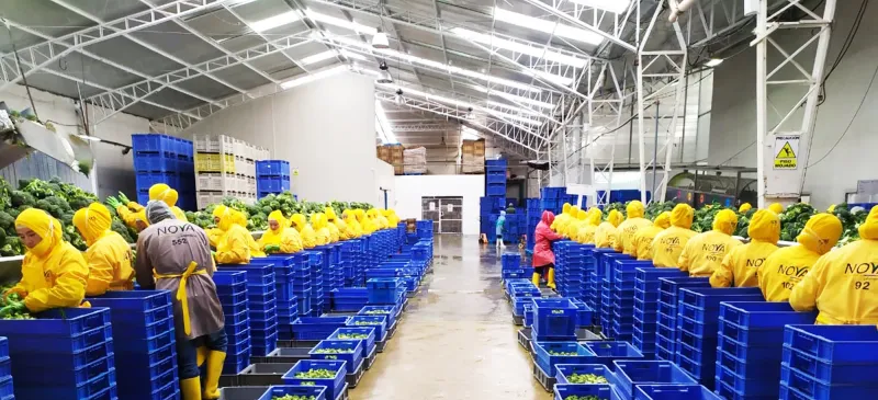 Nova Alimentos - Calidad